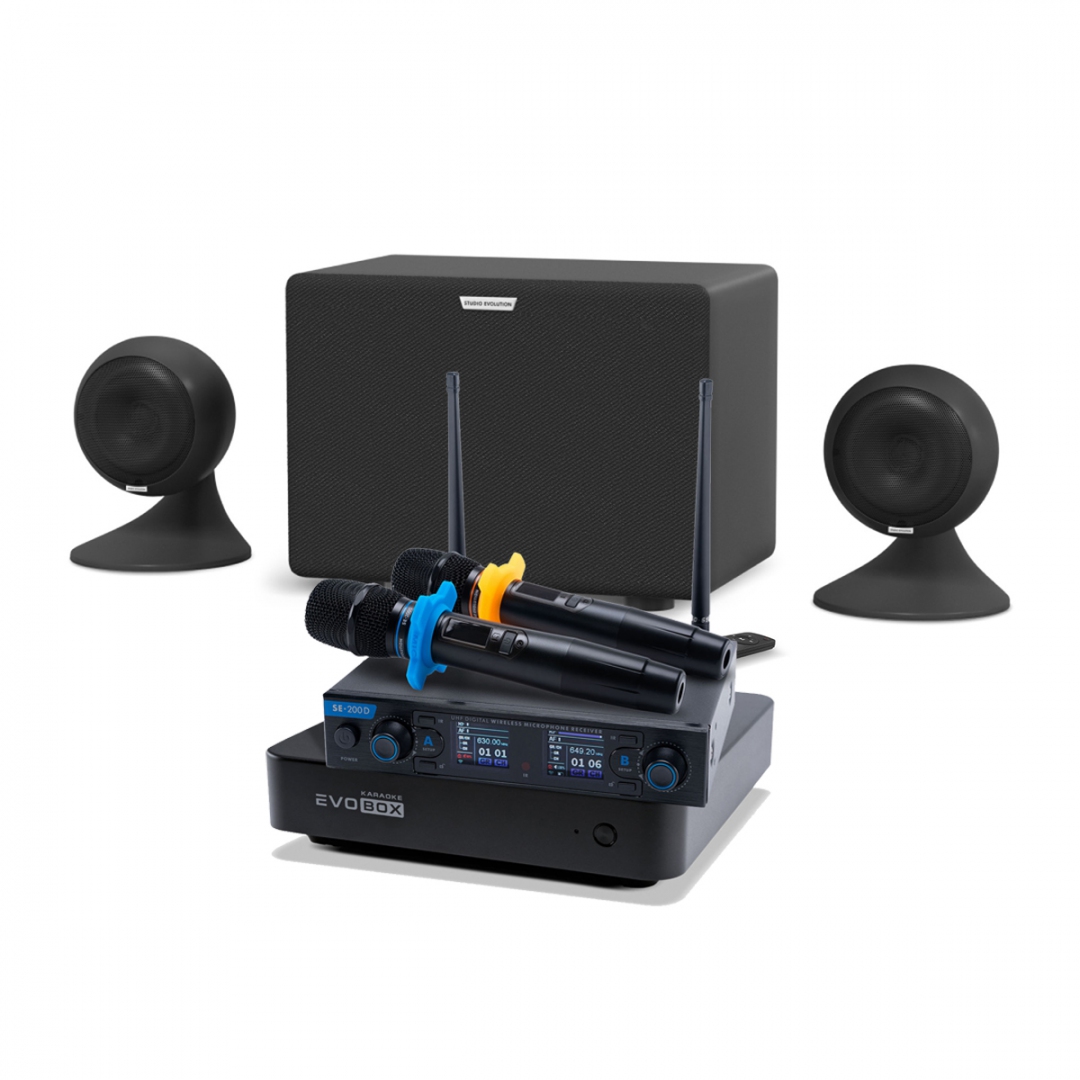 караоке-комплект EVOBOX + EvoSound Sphere 2.1 в Великих Луках
