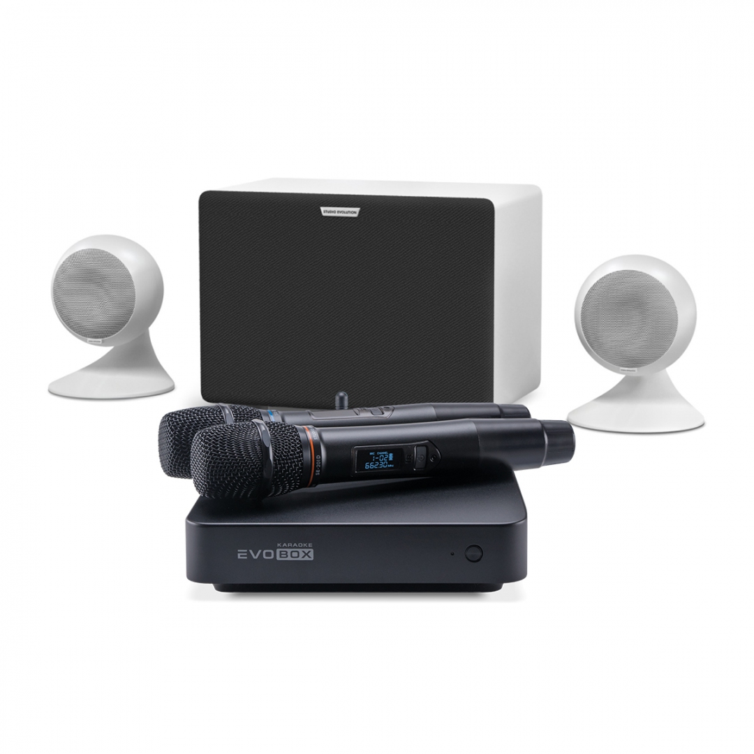 караоке-комплект EVOBOX Classic + EvoSound Sphere 2.1 в Великих Луках