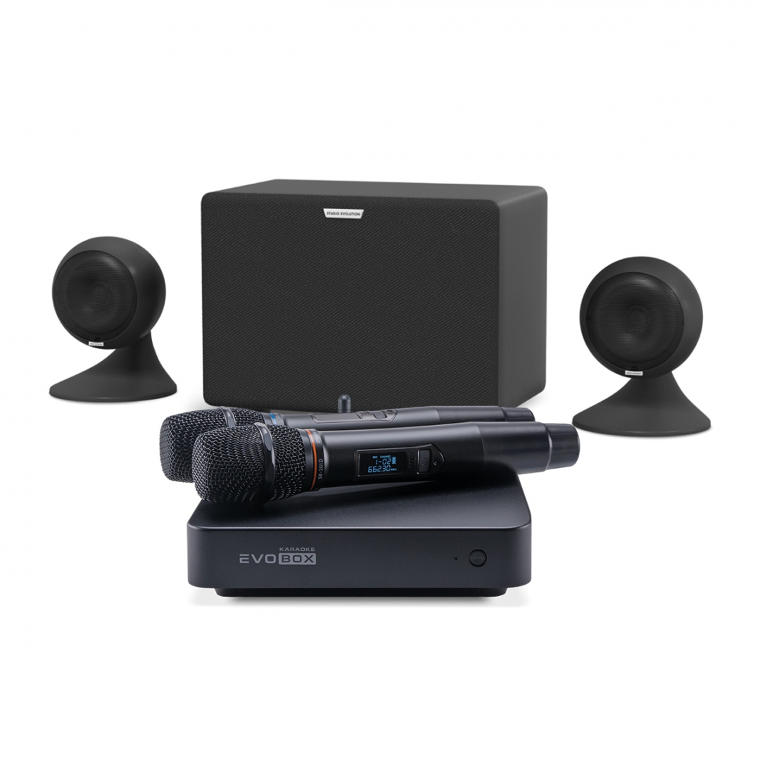 караоке-комплект EVOBOX Plus + EvoSound Sphere 2.1 в Великих Луках