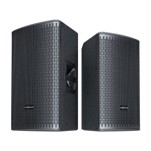 Audiocenter GT508A Активная акустическая система в Великих Луках