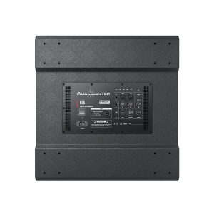 Audiocenter L65 + L65S MK2 порталы в Великих Луках