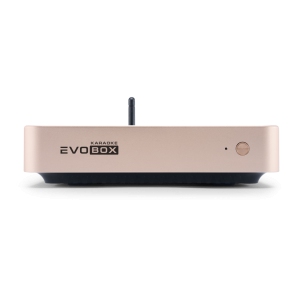 EVOBOX Classic караоке-система для дома в Великих Луках