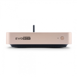 EVOBOX Plus караоке-система для дома в Великих Луках