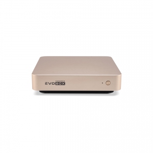 EVOBOX с микрофонами в Великих Луках